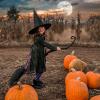 girl witch on broom in a pumpkin patch